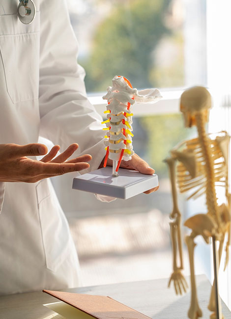Bachelor of Physiotherapy programme